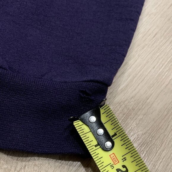 Champion Stonehill College Skyhawks Hoodie Men's Medium M Purple Y2K Sweatshirt - Picture 6 of 8